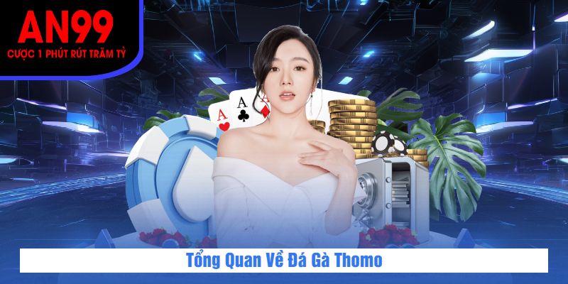 Tổng Quan Về Đá Gà Thomo